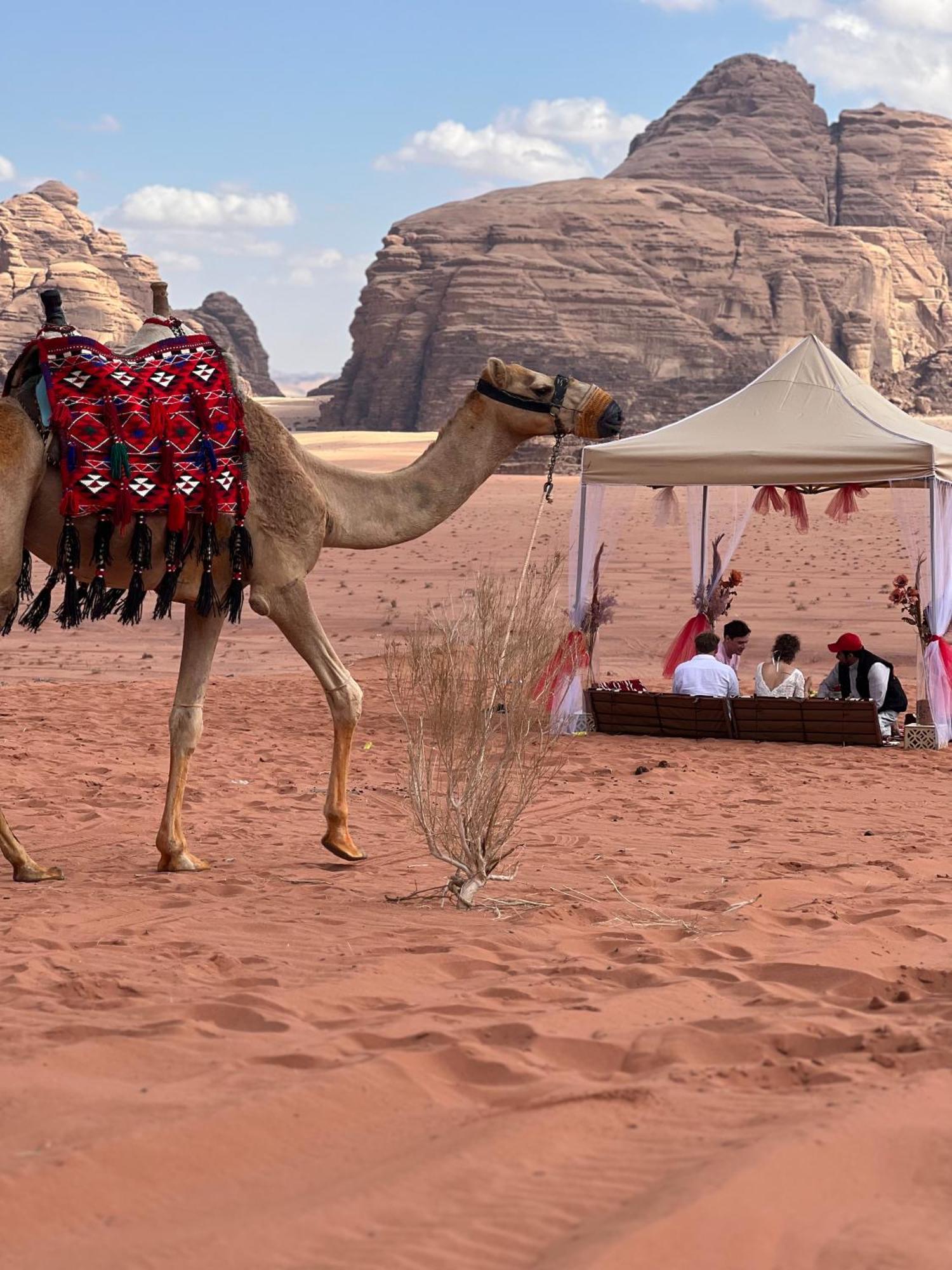 Moon Magic Valley Leilighet Wadi Rum Eksteriør bilde
